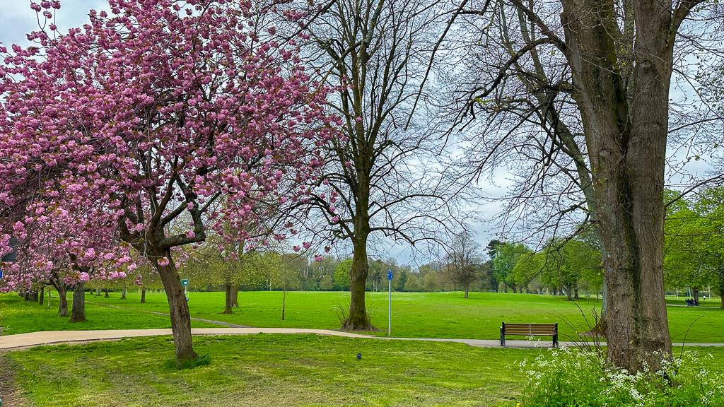 PENCISELY ROAD, CARDIFF Jeffrey Ross Estate Agents